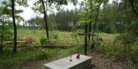 Os restos foram exumados em Ilowo Osada, no bosque Bialucki, perto do antigo campo de concentração de Dzialdowo