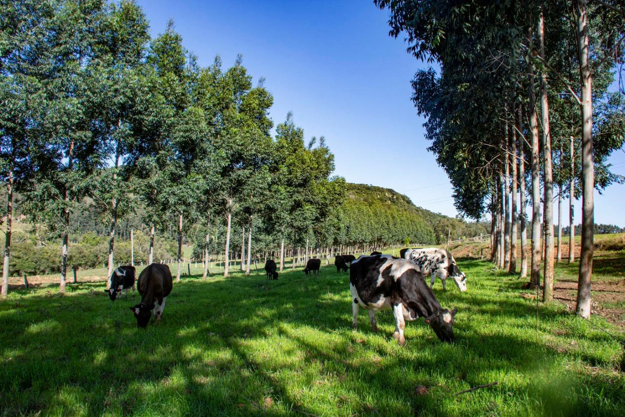 Objetivo do ABC+ &eacute; fomentar Agricultura de Baixo Carbono