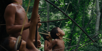 “A Última Floresta”, com roteiro de Davi Kopenawa Yanomami e Luiz Bolognesi, conquistou o prêmio de Melhor Roteiro de Documentário
