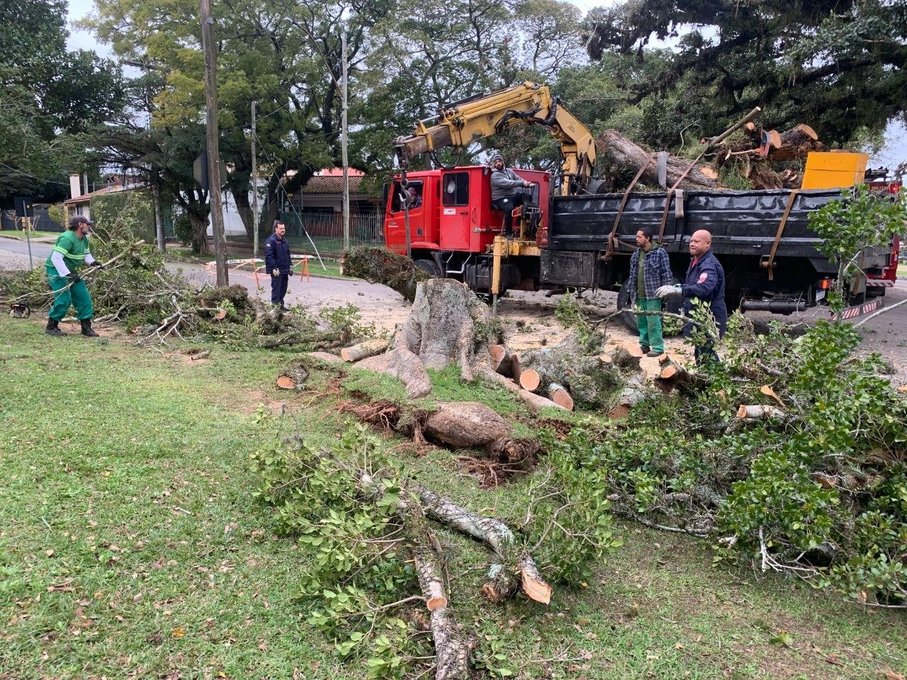 &Aacute;rvore caiu com a for&ccedil;a do vento em Porto Alegre