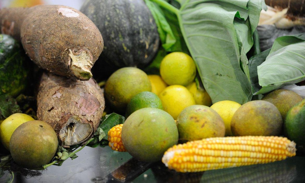 Material visa auxiliar os pais na tarefa de estimular uma alimenta&ccedil;&atilde;o mais saud&aacute;vel para as crian&ccedil;as