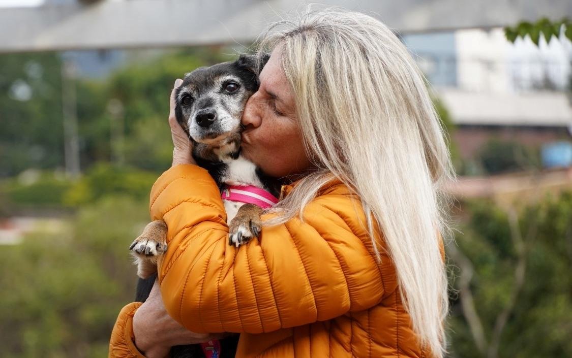 Cada protetor que participar do programa poder&aacute; receber at&eacute; R$ 700,00 mensais para os cuidados com c&atilde;es e gatos