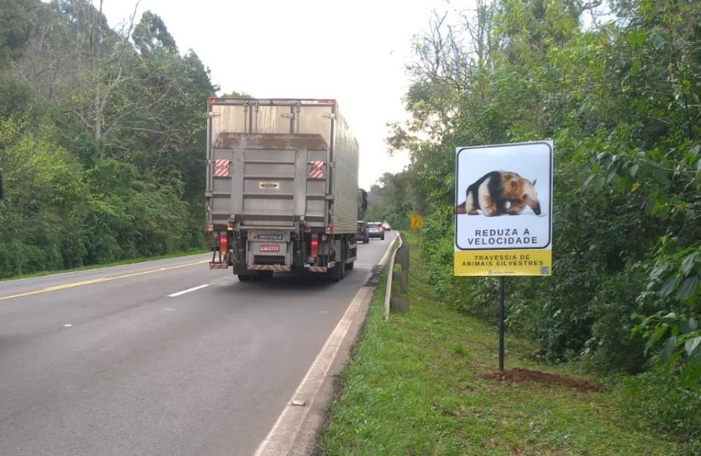 Neste primeiro momento, est&atilde;o sendo instaladas 40 placas na RS 115, na RS 235 e em vias municipais