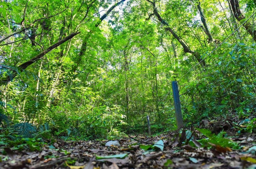 &Eacute; a primeira vez que Caxias do Sul sedia o evento que est&aacute; em sua 13&ordf; edi&ccedil;&atilde;o