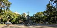 Mutirão será realizado na Praça Barão do Rio Branco