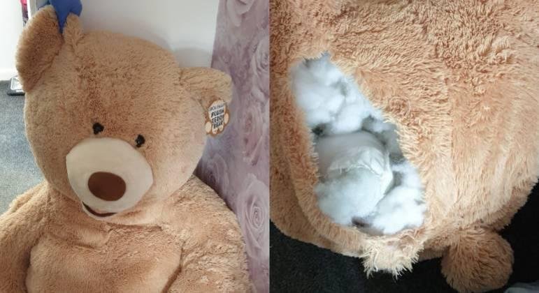 Pol&iacute;cia encontrou o foragido dentro do urso de pel&uacute;cia