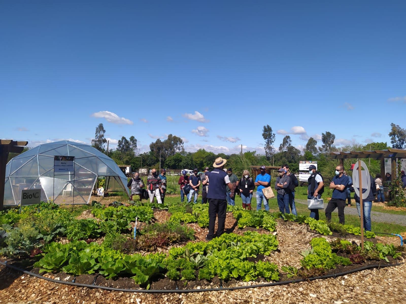 T&eacute;cnicos da Emater v&atilde;o demonstrar estrat&eacute;gias de cultivo irrigado de oler&iacute;colas &minus; as hortali&ccedil;as produzidas no Rio Grande Sul, como as cebolas, as batatas e as verduras folhosas &minus;, inclusive para o cidad&atilde;o urbano interessado em plantar em pequenos espa&ccedil;os.