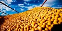 Produção de soja no país foi 10% inferior a da safra 2020/2021, em razão dos problemas climáticos ocorridos na região Sul