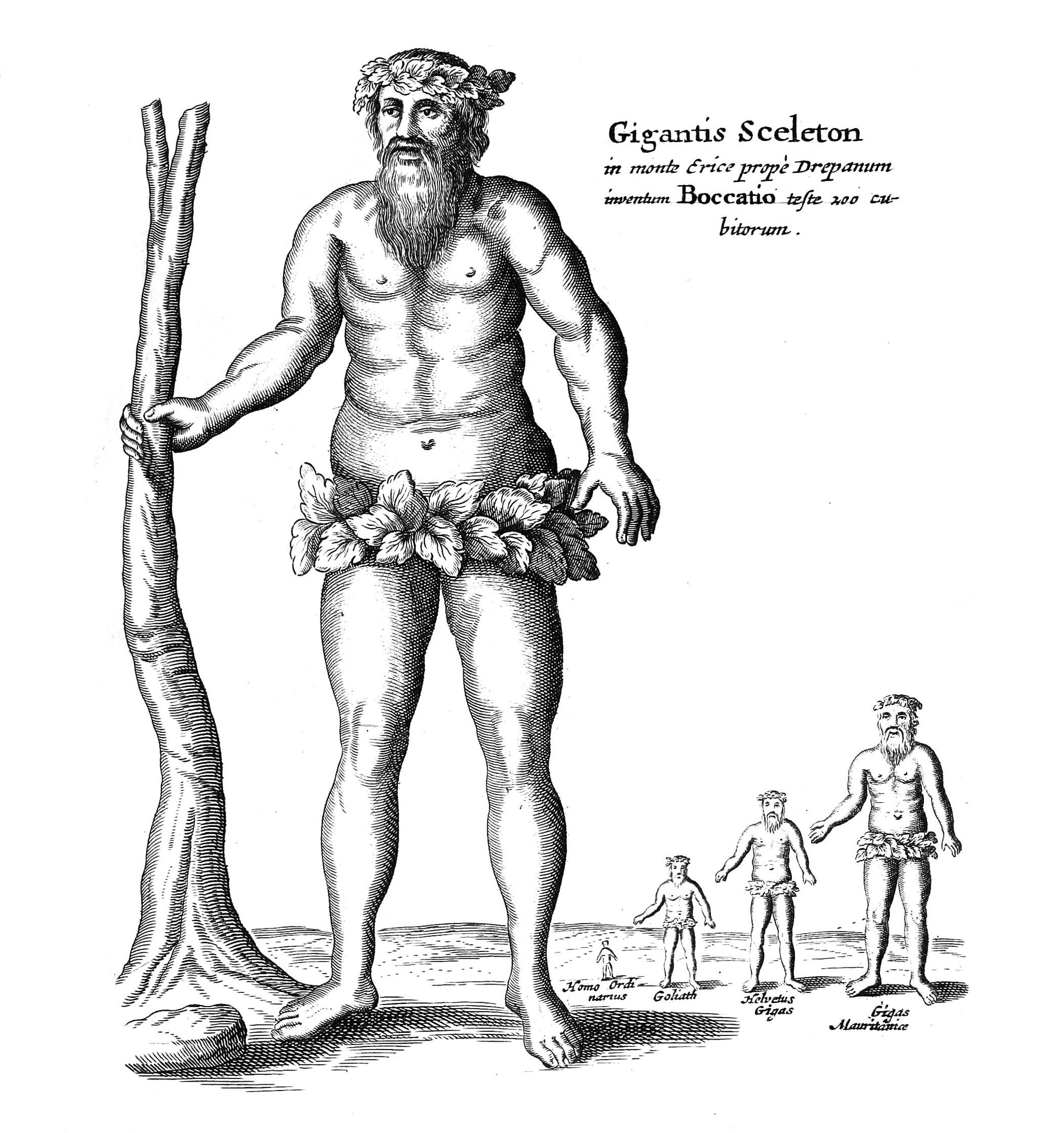 Ilustra&ccedil;&atilde;o de um gigante em Mundus Subterraneus