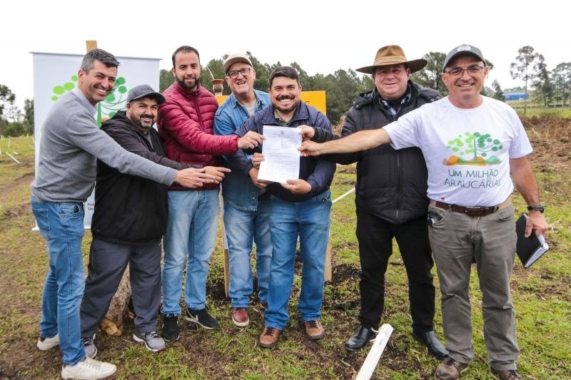 Projeto de lei regulamenta o pagamento anual de R$ 7,00 por muda de arauc&aacute;ria plantada