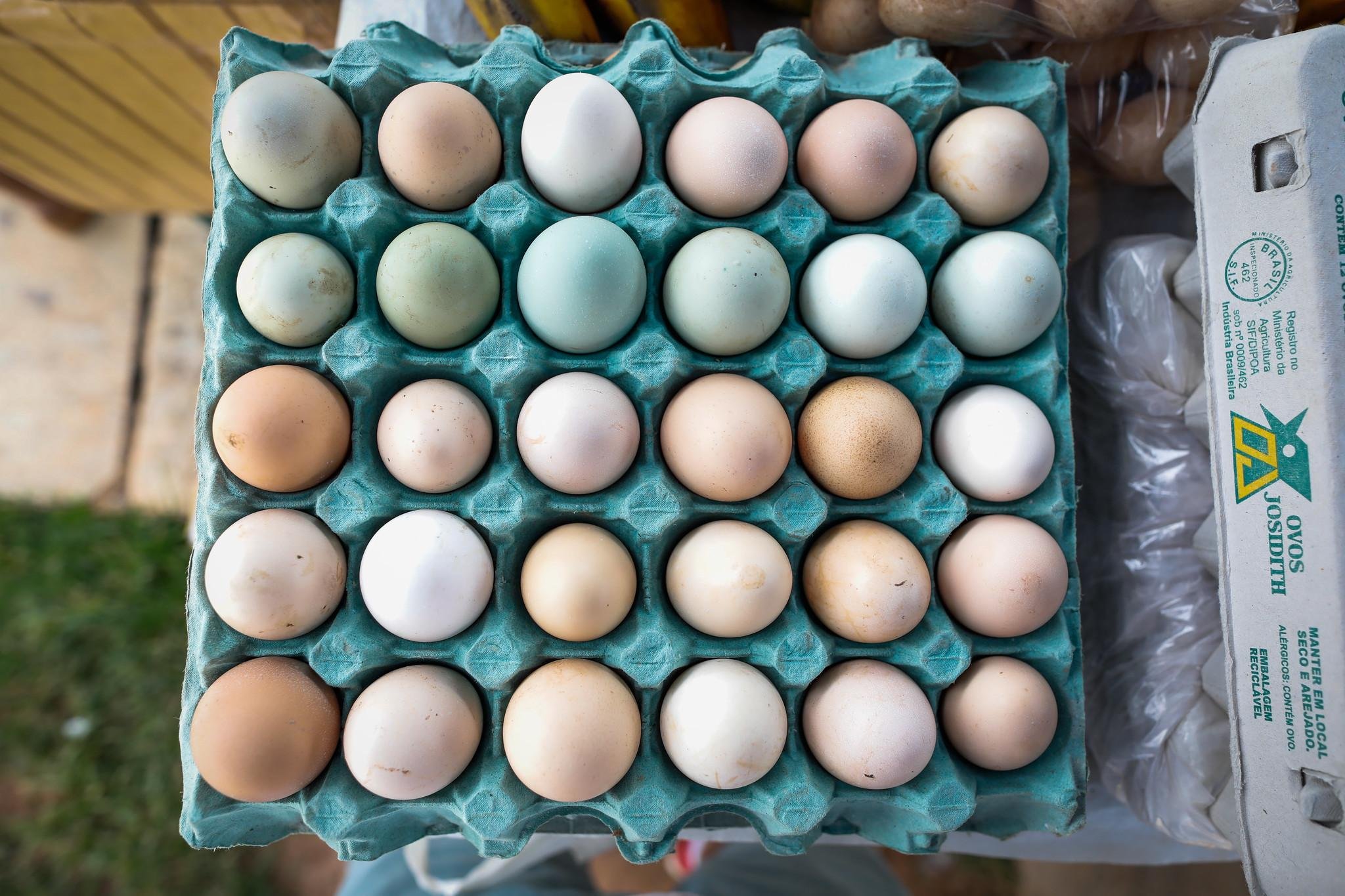 Brasileiro consome em m&eacute;dia 257 ovos por ano