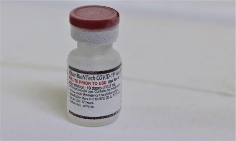 Frasco da vacina Pfizer para crian&ccedil;as de seis meses a dois anos possui tampa cor vinho