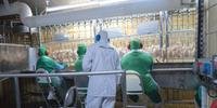 Unidade brasileira de produção de frango halal, que precisa passar por auditorias de empresas certificadoras