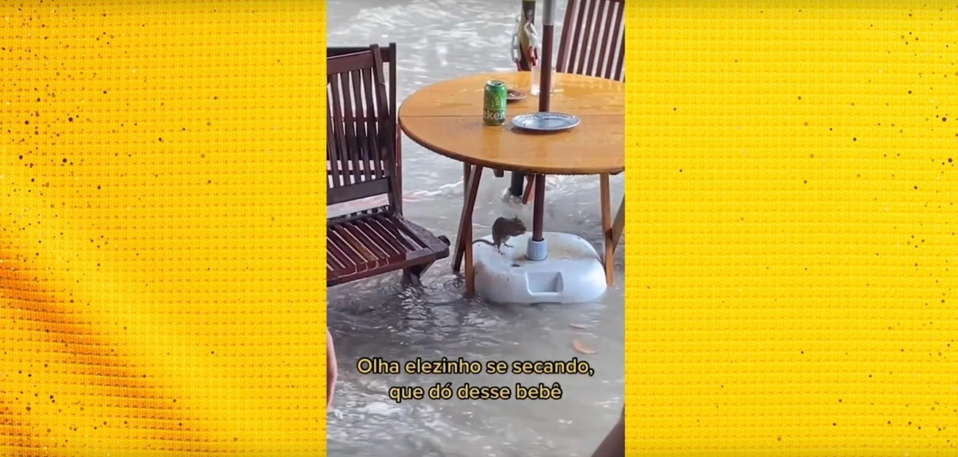 Ratinho roubou a cena dos memes