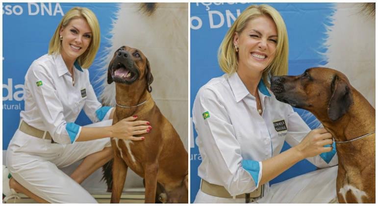 Cachorro de Ana Hickmann venceu competi&ccedil;&atilde;o canina