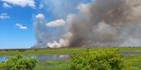 Fogo já consumiu mais de mil hectares da reserva ecológica localizada em Santa Vitória do Palmar