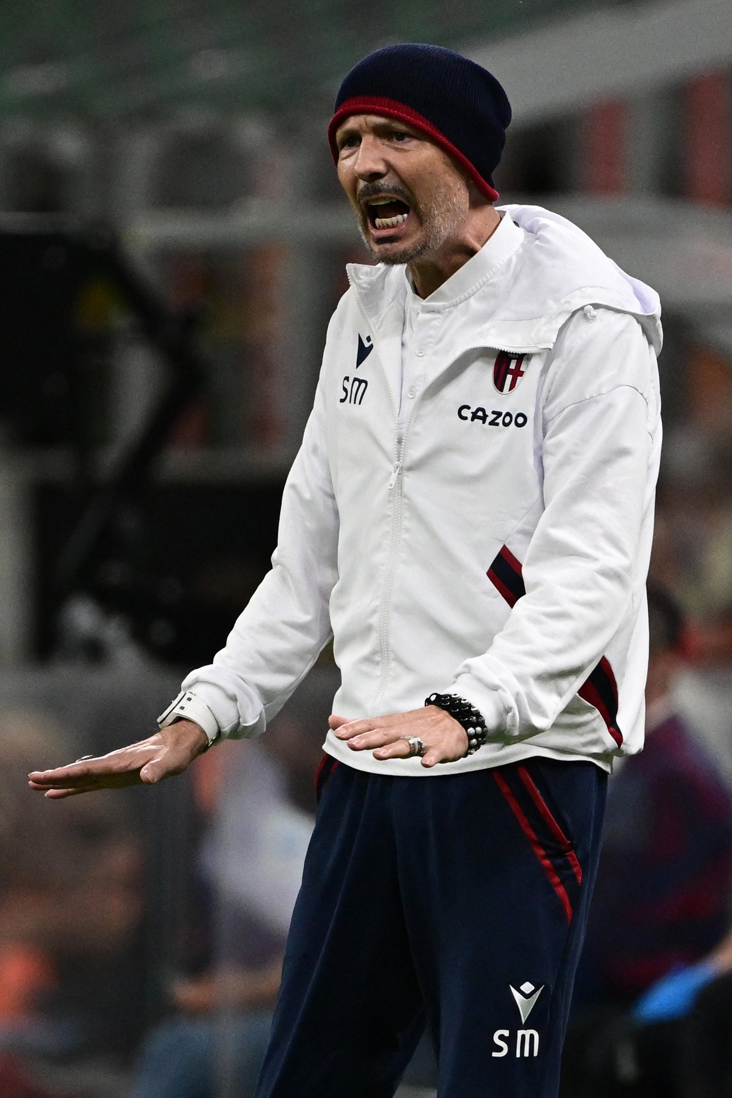 Mihajlovic