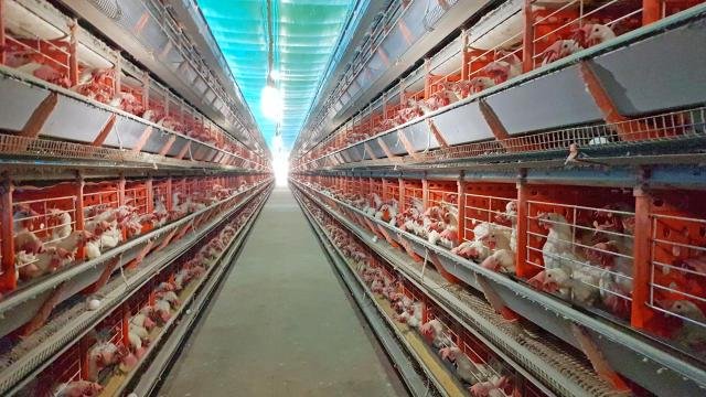Aplicativo vai ser lan&ccedil;ado em fevereiro