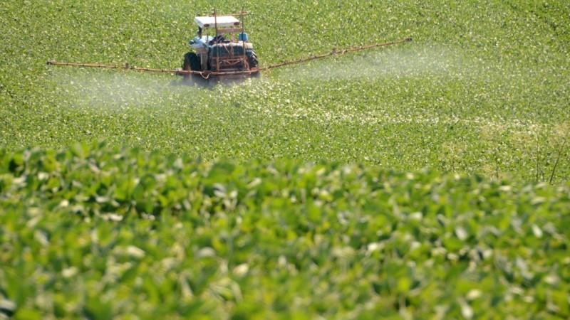 Aplica&ccedil;&atilde;o incorreta dos agrot&oacute;xicos hormonais pode causar problemas a cultivos vizinhos