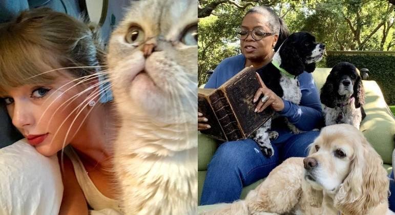 Taylor Swift e Oprah s&atilde;o donas de pets ricos