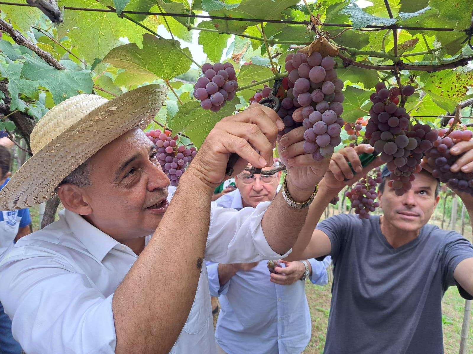 Melo na abertura simb&oacute;lica da colheita, ao lado de Balestrin (D)