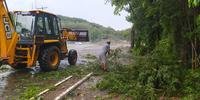 Várias árvores caíram pela cidade e município ainda faz o levantamento do número exato de imóveis danificados