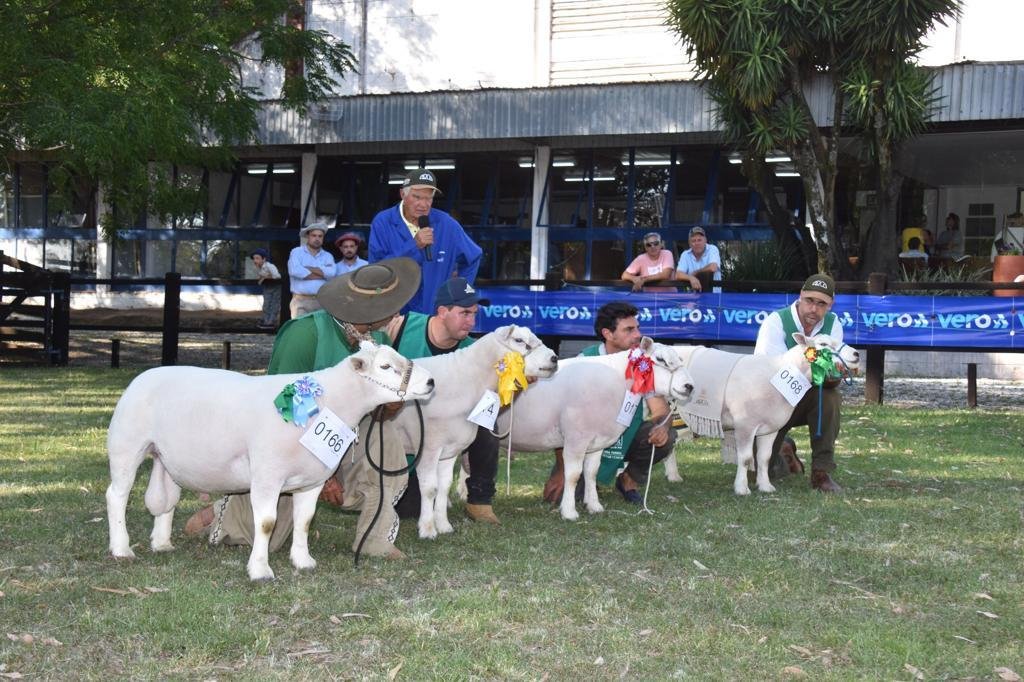 Mais de 500 exemplares participaram das avalia&ccedil;&otilde;es na pista de Bag&eacute;