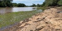Terra seca no rio Gravataí, entre os municípios de Gravataí e Viamão, é ladeada pelas águas com excesso de algas