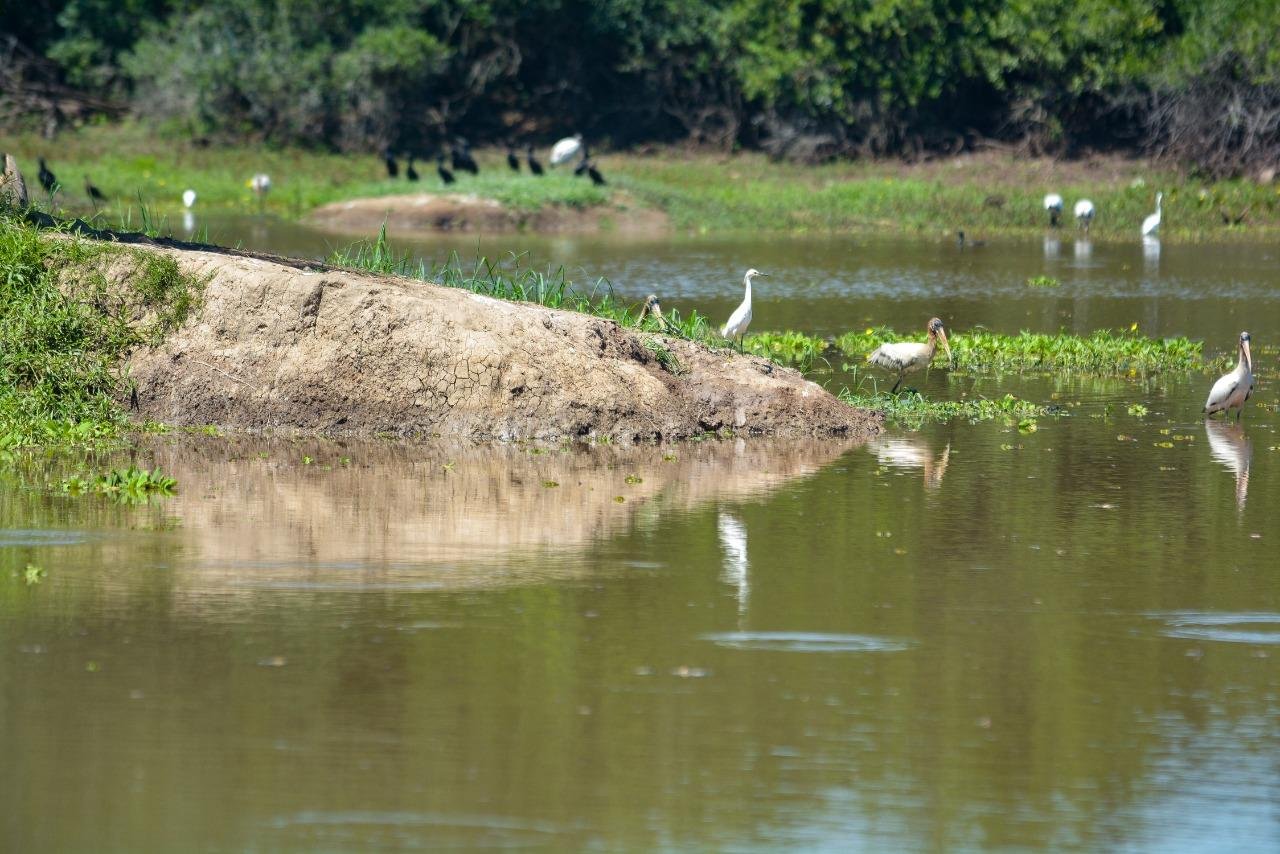 No Balne&aacute;rio Passo das Canoas, em Gravata&iacute;, r&eacute;gua registrou pouco mais de um metro de &aacute;gua nesta quarta
