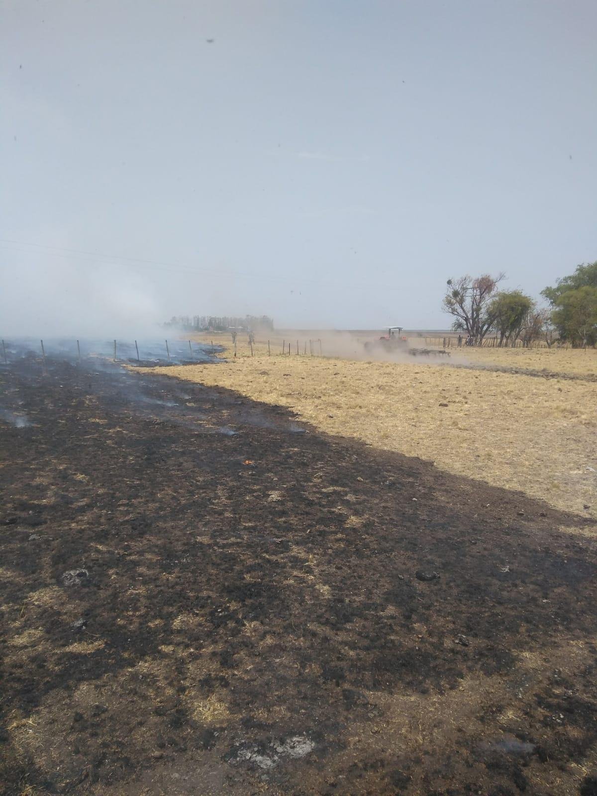 Vegeta&ccedil;&atilde;o seca, devido &agrave; crise h&iacute;drica, facilitou que chamas se alastrassem pela vegeta&ccedil;&atilde;o seca