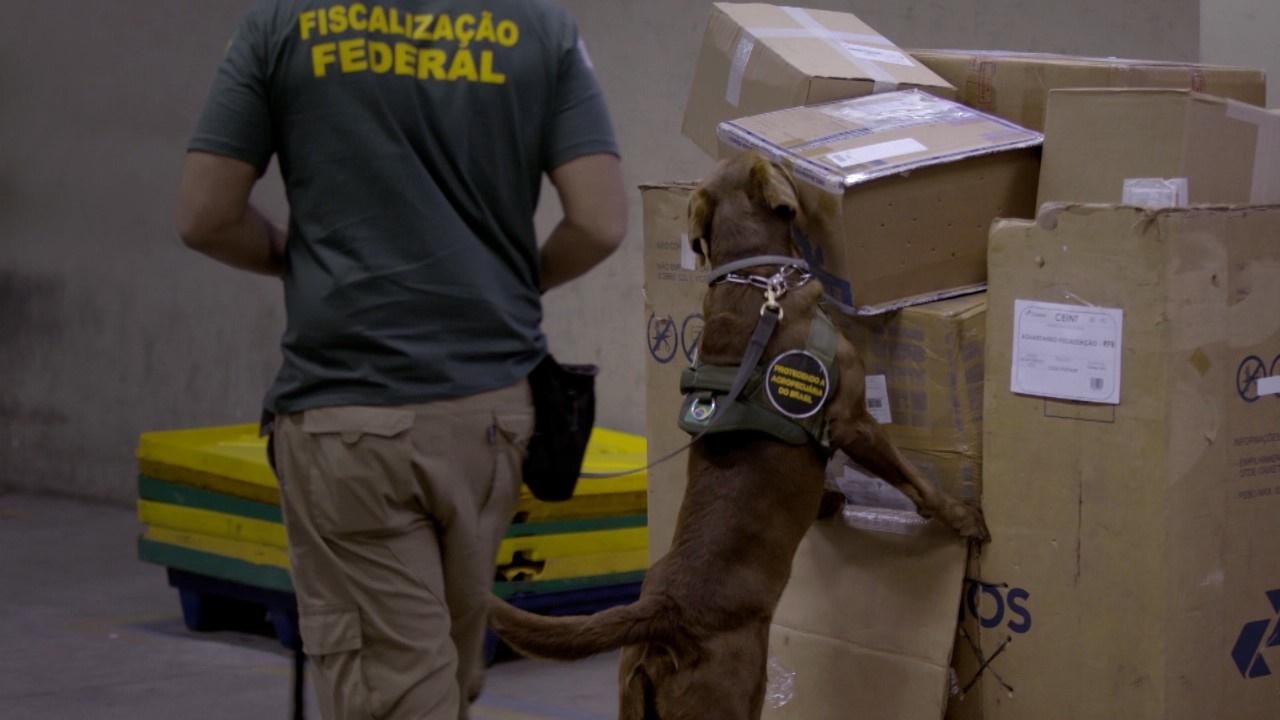 Novo epis&oacute;dio da s&eacute;rie Aeroporto tem exibi&ccedil;&atilde;o nesta segunda-feira
