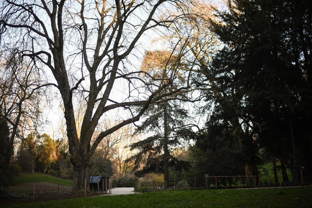 Parque est&aacute; fechado durante investiga&ccedil;&otilde;es