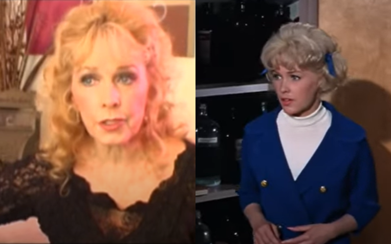 Stella Stevens participou de mais de 140 produ&ccedil;&otilde;es cinematogr&aacute;ficas e televisivas. No filme "O Professor Aloprado" (1963), deu vida &agrave; Stella Purdy