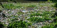 Rio Gravataí acumulava lixo em um trecho localizado na altura da rua Nilo Peçanha