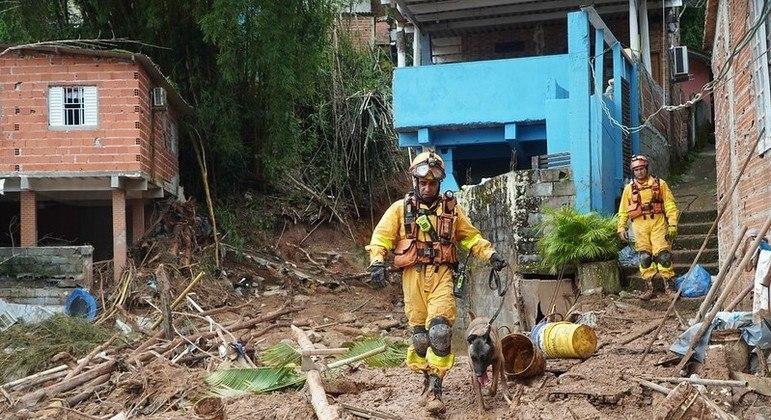 Cachorros da Pol&iacute;cia fazem buscas em &aacute;rea atingida na Vila Sahy