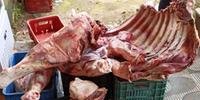 Cerca de 180 quilos de carne foram apreendidos no cumprimento de 19 ordens judiciais
