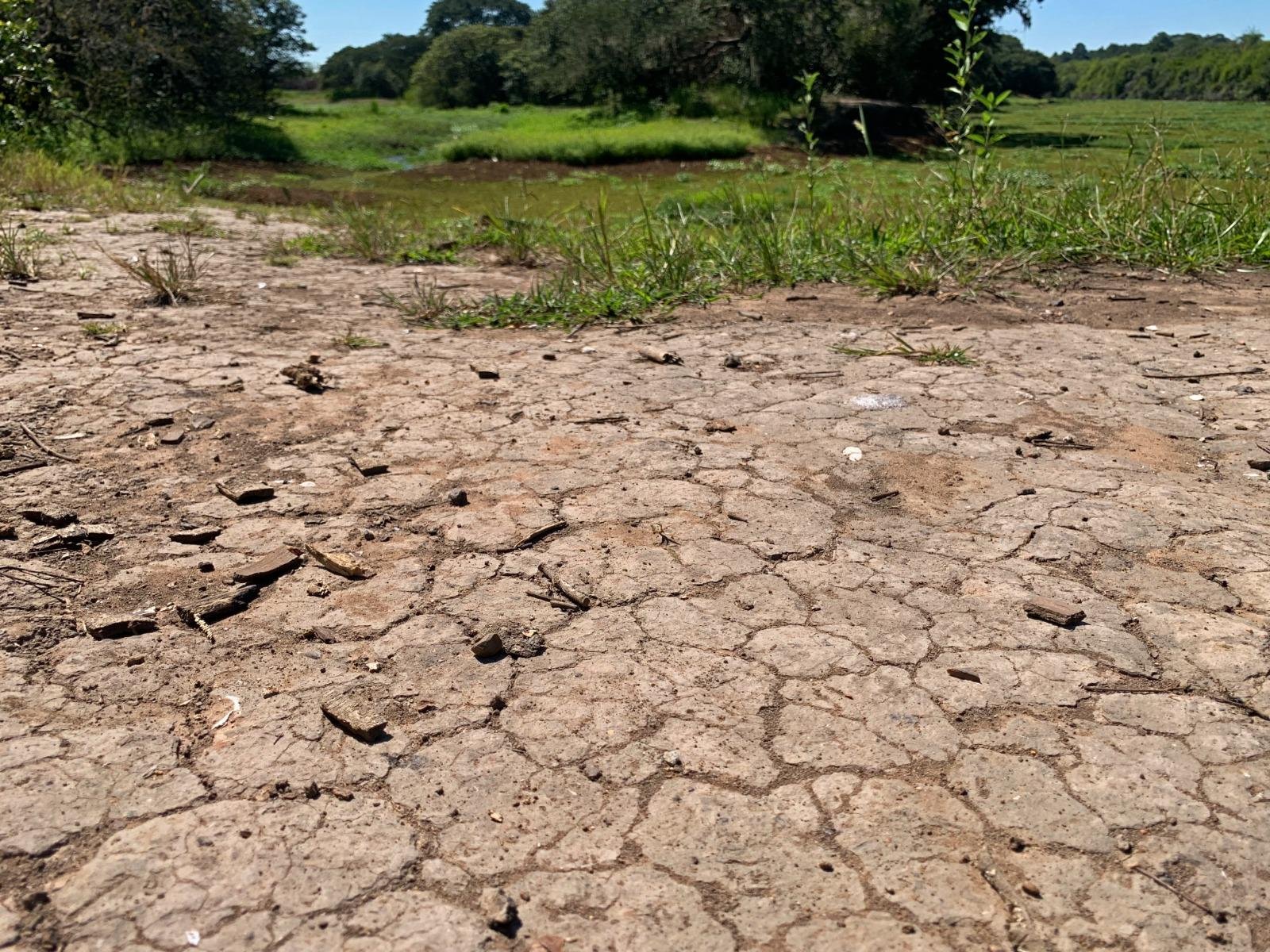 Valor ser&aacute; usado por cinco munic&iacute;pios para aluguel de caminh&atilde;o-pipa, compra e reservat&oacute;rio de &aacute;gua e aquisi&ccedil;&atilde;o de alimentos