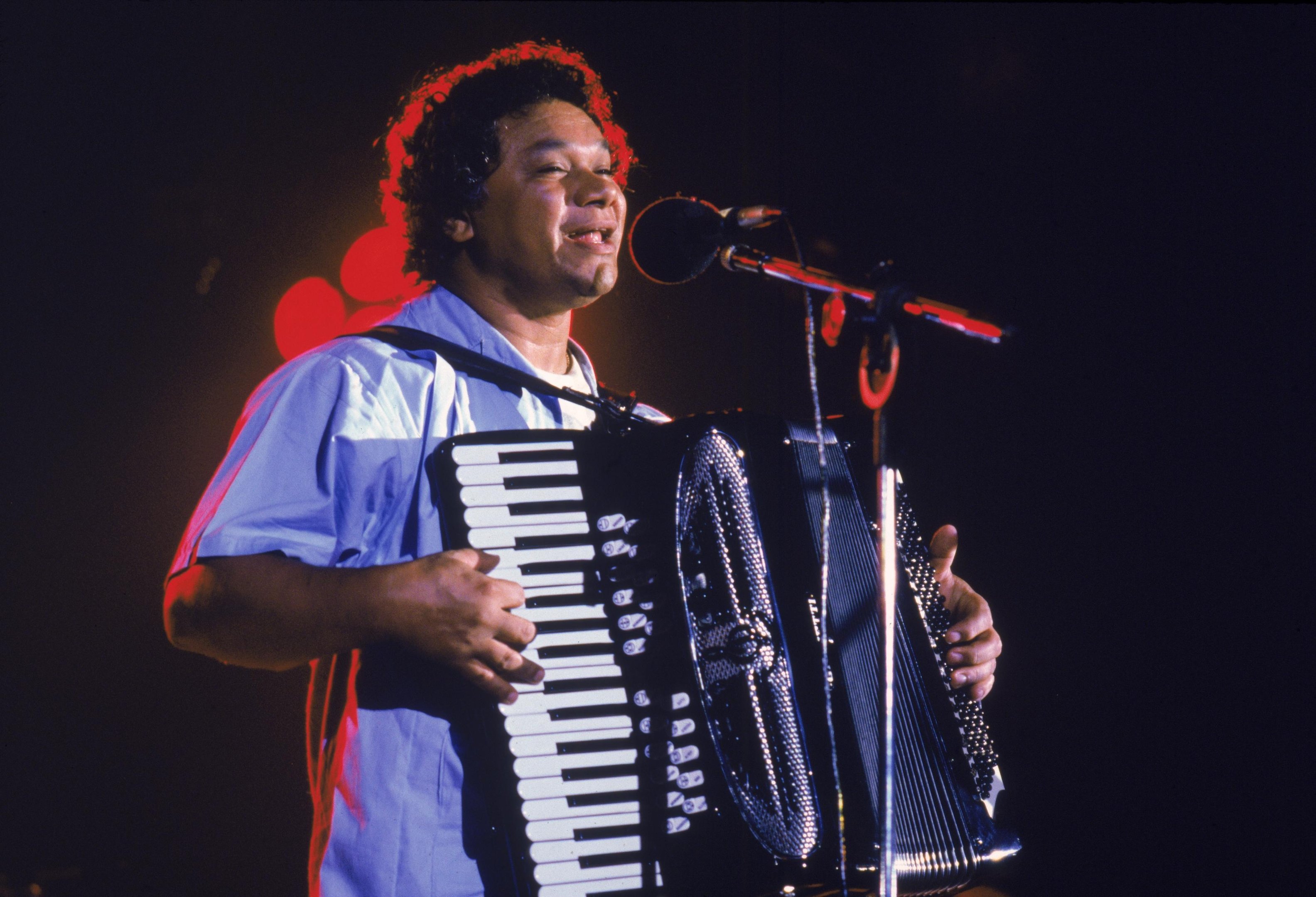 O sanfoneiro Dominguinhos (1941 - 2013) &eacute; homenageado em show