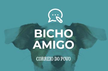 Bicho Amigo